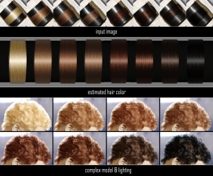 Photometric Acquisition of Hair Color